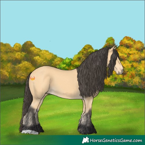 Horse Color:Buckskin 