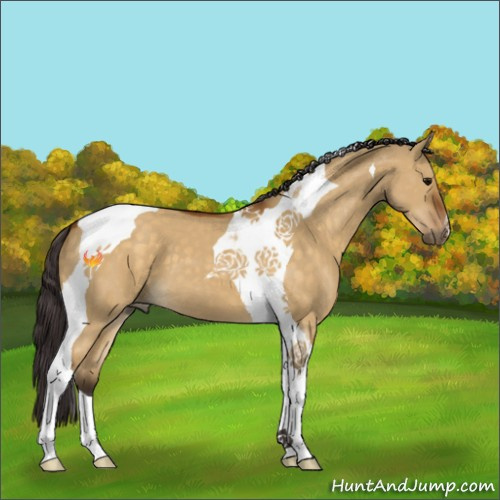 Horse Color:Buckskin Dun Tobiano 