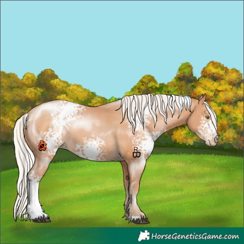 Horse Color:White Spotted Silver Bay Pearl