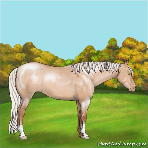 Horse Color:Silver Brown Pearl Dun 