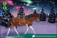 Horse Color:Brown Tobiano Rabicano