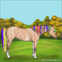 Horse Color:Painted Bay Dun Tobiano Appaloosa  and Painted White Spotted Silver Bay Dun 