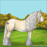 Horse Color:White Spotted Gold Cream Champagne 
