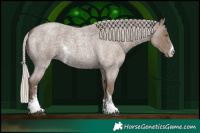Horse Color:Silver Blue Roan Sabino