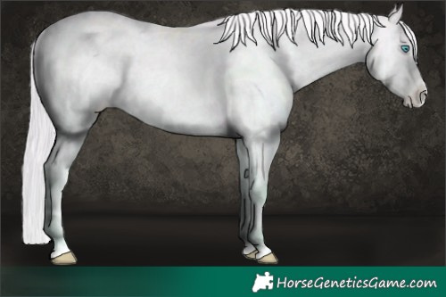Horse Color:Platinum Palomino Roan Pearl Dun Varnish Brindle