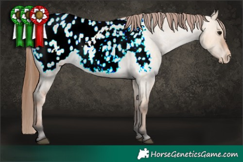 Horse Color:Bay Roan Dun Blanket