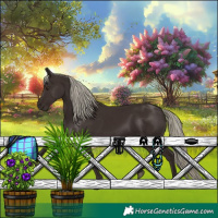 Horse Color:Liver Chestnut Rabicano 