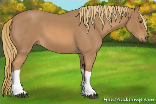 Horse Color:Red Roan Tobiano 