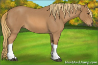 Horse Color:Red Roan Tobiano 