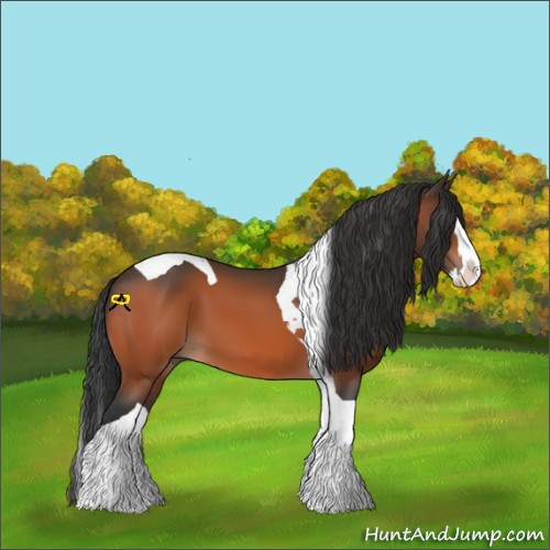 Horse Color:Bay Sabino Splash Tobiano