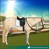 Horse Color:Smoky Black Pearl