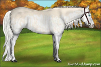 Horse Color:Cremello Splash  and Cremello Splash 