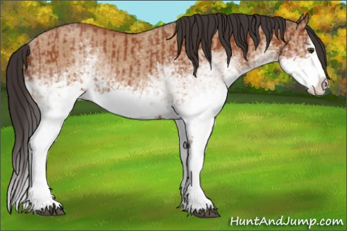 Horse Color:White Spotted Bay Splash  and White Spotted Bay Dun Splash 