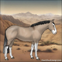 Horse Color:Brown Dun Splash 