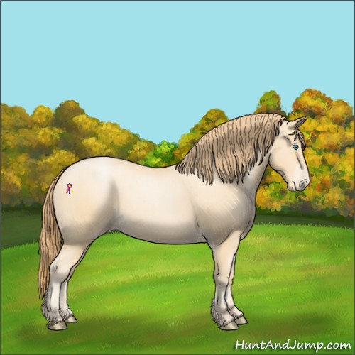 Horse Color:Smoky Black Pearl 