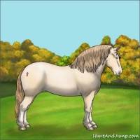 Horse Color:Smoky Black Pearl 