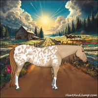 Horse Color:Red Dun Appaloosa 