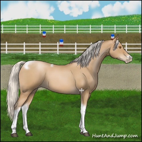 Horse Color:Silver Blue Roan Pearl Tobiano Frame 