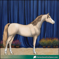 Horse Color:Smoky Black Pearl 