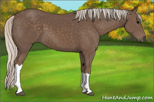 Horse Color:Silver Black 