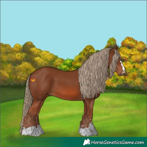 Horse Color:Chestnut 