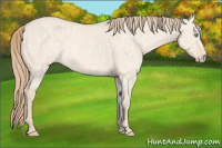 Horse Color:Perlino Dun and Perlino Dun