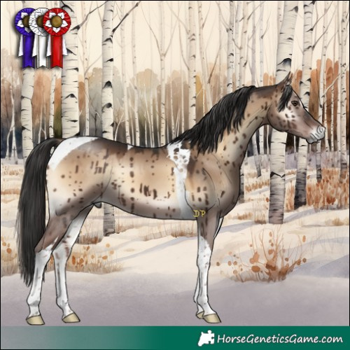 Horse Color:Liver Red Dun Onyx Tobiano Brindle 