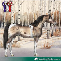 Horse Color:Liver Red Dun Onyx Tobiano Brindle