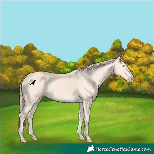 Horse Color:Perlino 