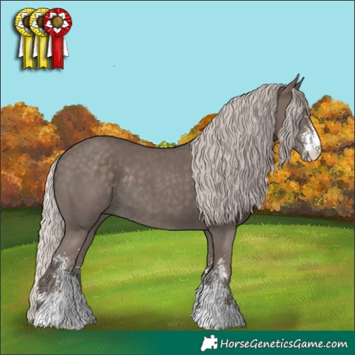Horse Color:Silver Black Sabino Rabicano 