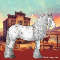 Horse Color:Silver Black Sabino Rabicano 