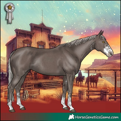 Horse Color:Silver Black Sabino Rabicano 