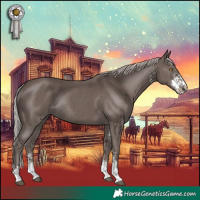 Horse Color:Silver Black Sabino Rabicano 