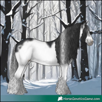 Horse Color:Black Splash Frame 