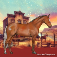 Horse Color:Silver Bay Sabino Rabicano 