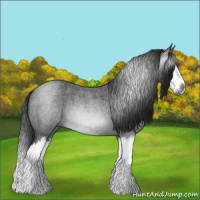 Horse Color:Gray Blue Roan Splash 