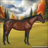Horse Color:Brown 