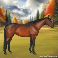 Horse Color:Brown 