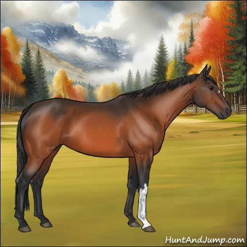 Horse Color:Brown 