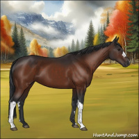 Horse Color:Brown 