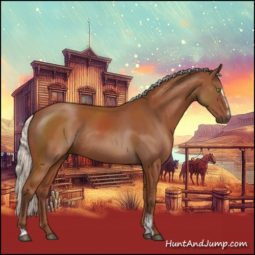 Horse Color:Silver Bay Sabino Rabicano 