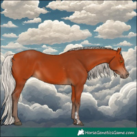 Horse Color:Silver Bay Sabino Rabicano 