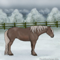 Horse Color:Silver Black 