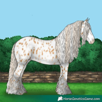 Horse Color:Palomino Near Leopard  and Palomino Frame Near Leopard 