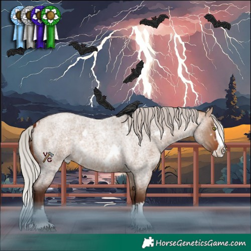 Horse Color:White Spotted Silver Bay Roan Dun Splash Rabicano