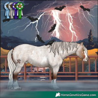 Horse Color:White Spotted Silver Bay Roan Dun Splash Rabicano