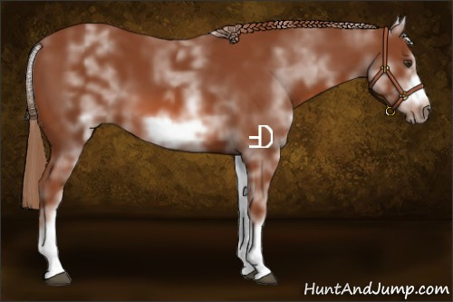 Horse Color:White Spotted Chestnut Frame 