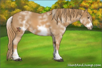 Horse Color:White Spotted Chestnut Frame 