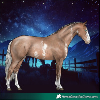 Horse Color:Silver Brown Pearl Sabino Rabicano 