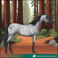 Horse Color:Blue Roan 